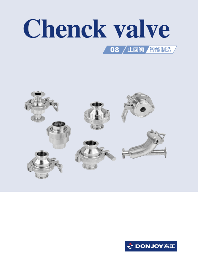 Should the check valve be installed before or after the outlet valve?