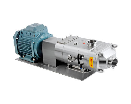 Twin screw pump with motor directly